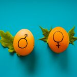 Ισότητα των φύλων στην Ελλάδα – Είναι μεγάλο ζήτημα;